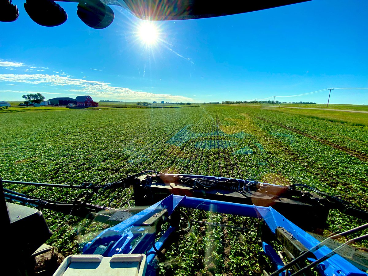 Riley Emmel tweet media