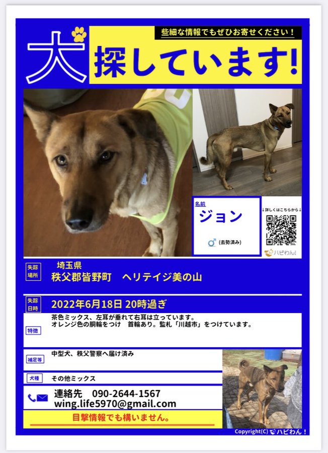 埼玉県の迷い犬一覧 Find My Pet