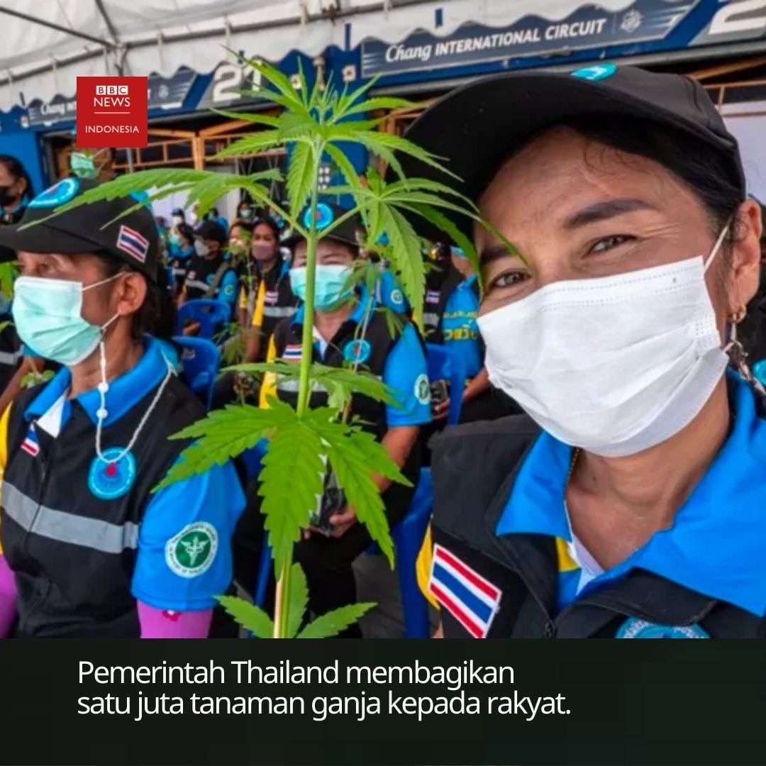 ndorokakung's tweet photo. Kamu iri nggak? https://t.co/GR0ppuOzVa