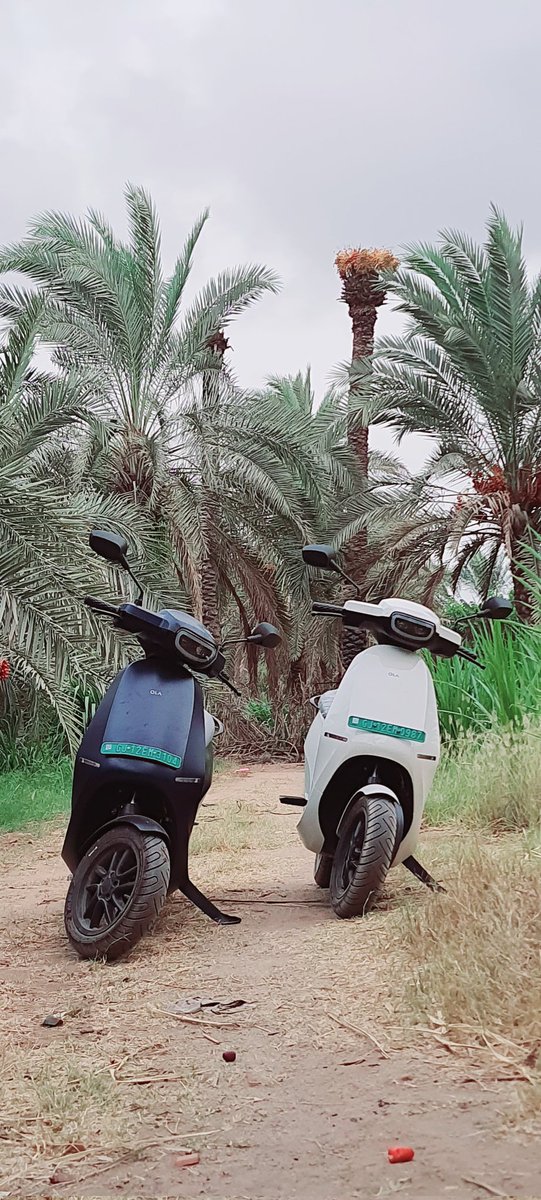Ram17Charan's tweet photo. @OlaElectric #EndICEage #Kachchh #ZARPARA #Datefarm https://t.co/kUFStehZ2e