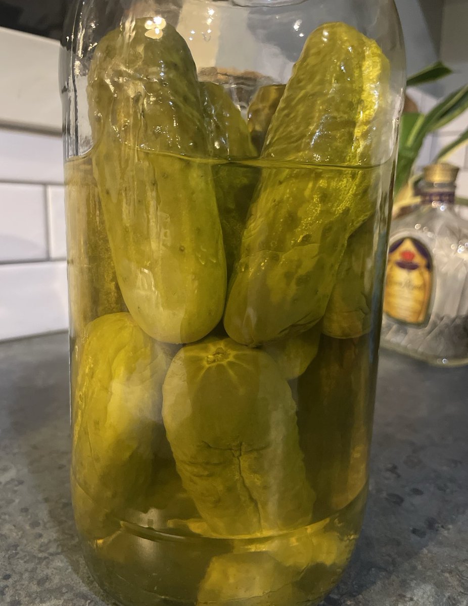 Bo_Bandi_'s tweet photo. If frogs were turds they would be a pickle #10pmconclusions https://t.co/py5VRAQ86Q