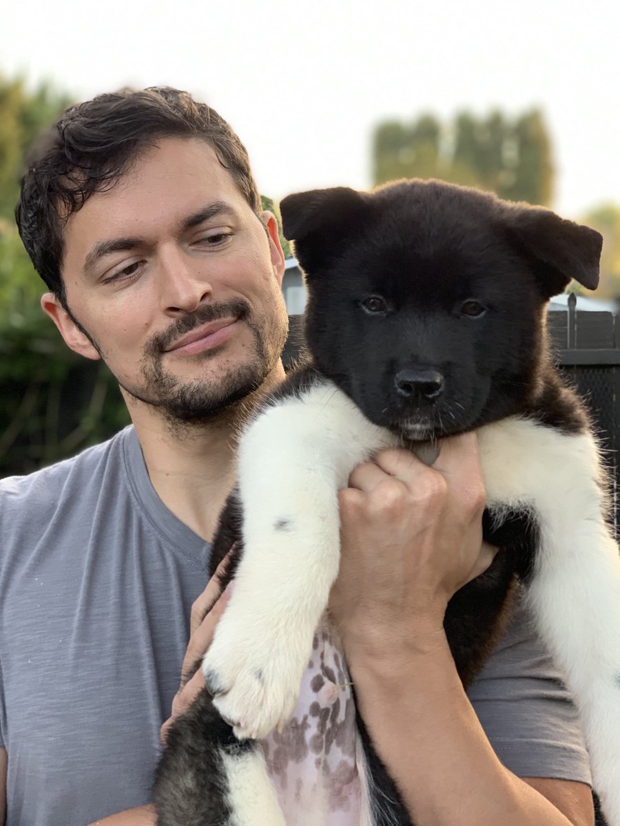 WizCalista's tweet photo. Baby Bear Obi-Wan

#westminsterdogshow2022 #akita #babybearobiwan #homedepot #bestathomecontest #wkcdogs #dogs #wesminsterdog show https://t.co/jluv06oMAv