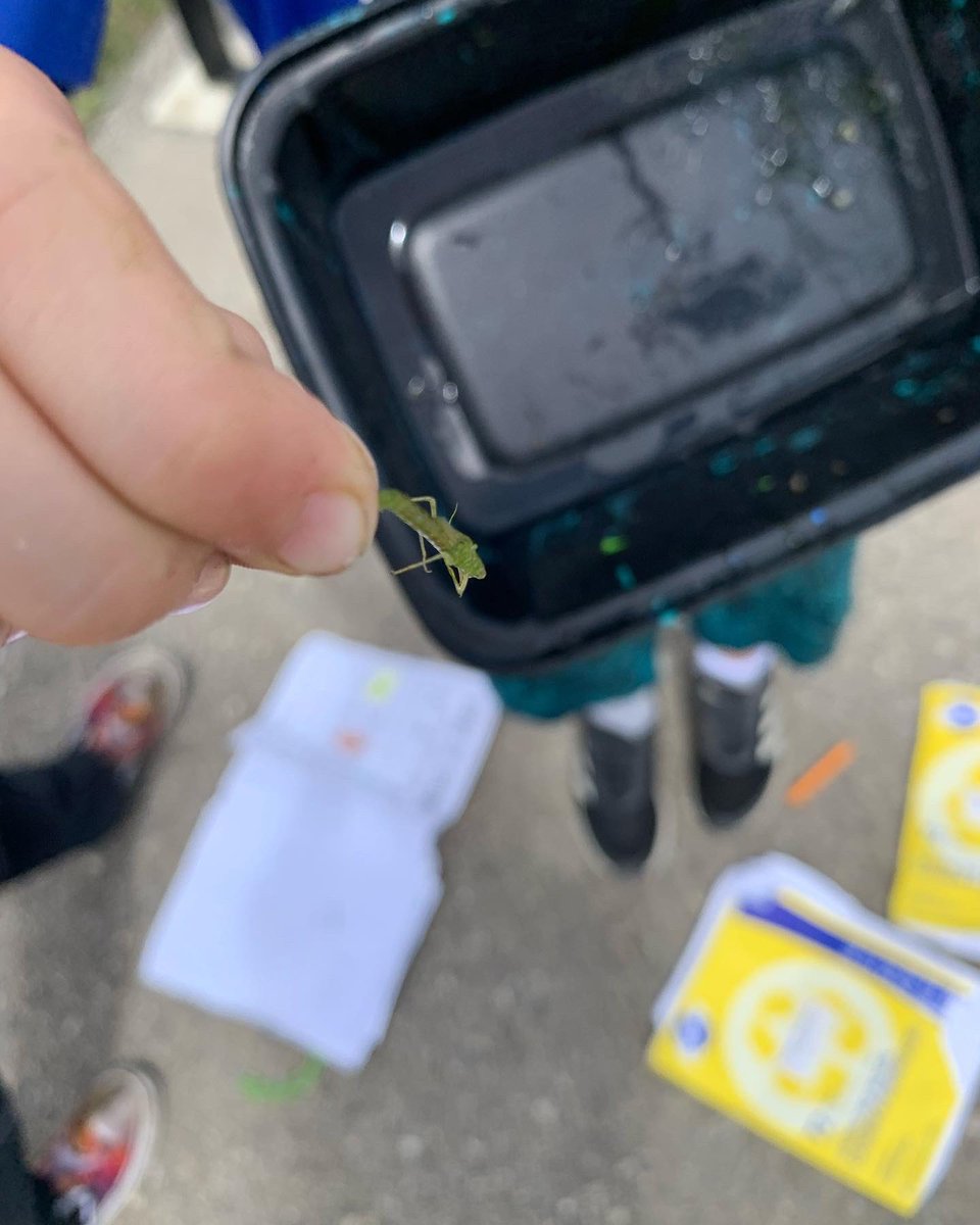 Erin Carriere tweet media