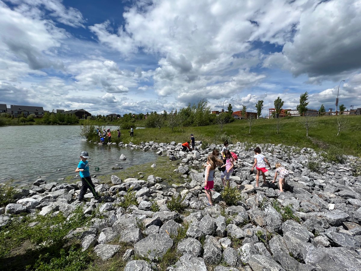 Erin Carriere tweet media