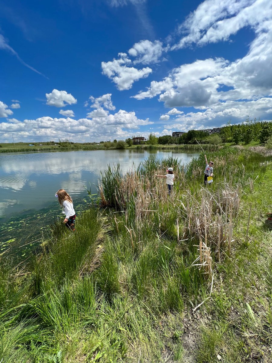 Erin Carriere tweet media