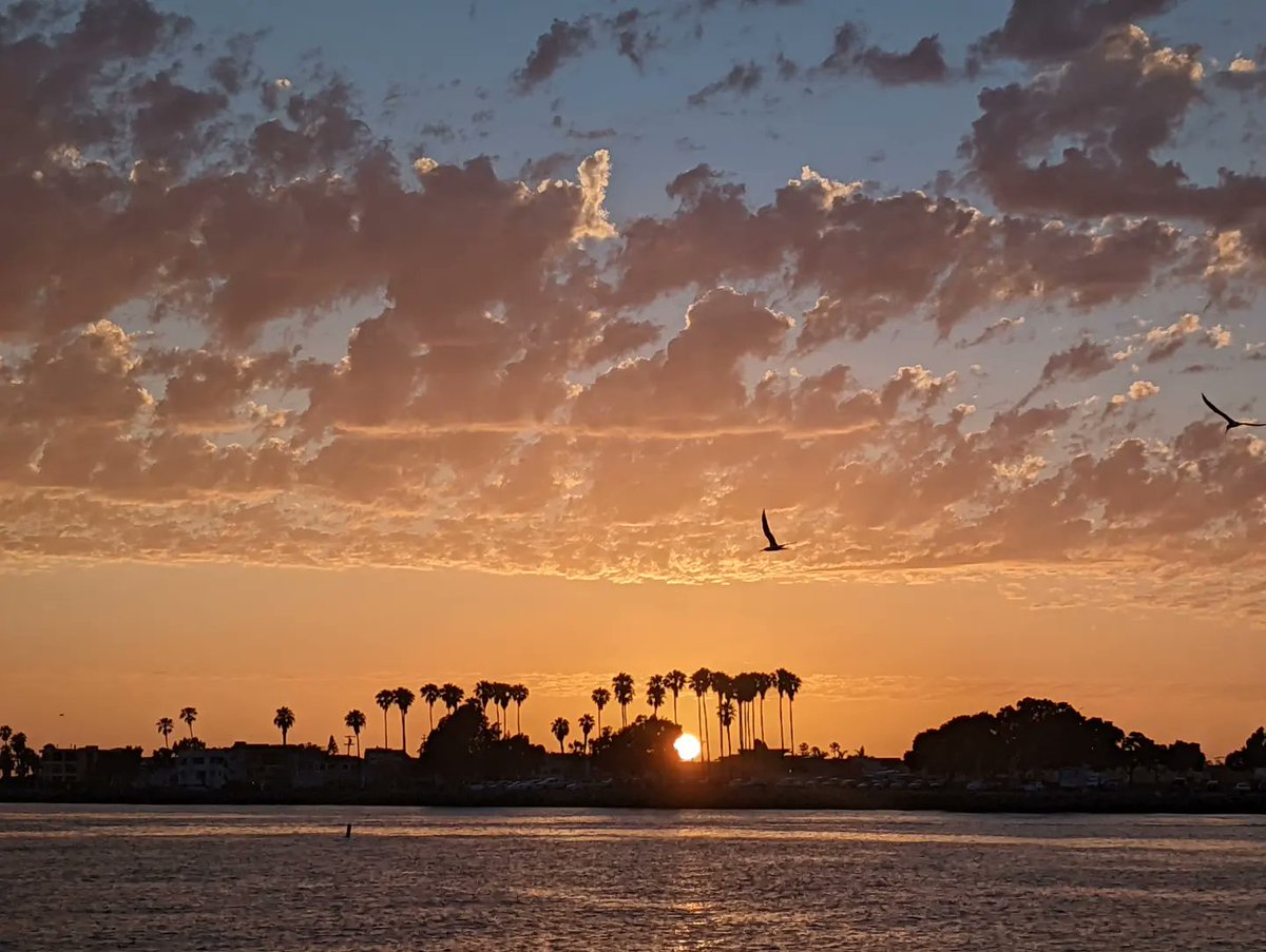 TREVORE4SD's tweet photo. Summer Solstice #SummerSolstice2022 #SanDiego https://t.co/wA2lpbJ0AX
