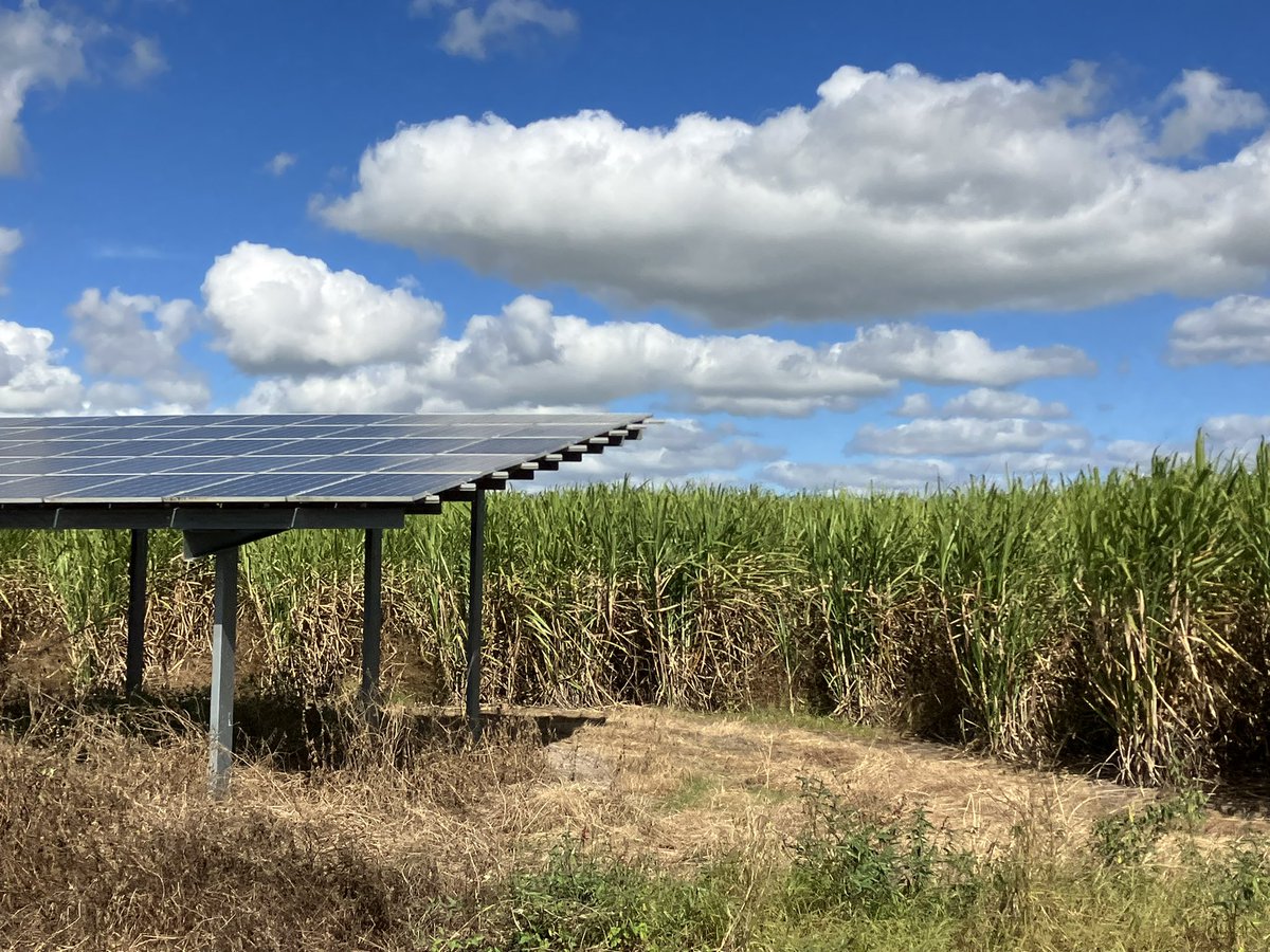 Karin Stark (@karinstark79) on Twitter photo After 1.5 years working on a microgrids in Ag project, it’s great to finally meet our Queensland farmers & see their sugarcane farms. We’re looking at how microgrids could help with cheaper, greener & more reliable energy.
<a href="/chamboak/">Andrew Chamberlin</a> <a href="/AuJennymBrown/">Jennifer Brown</a> <a href="/CottonAustralia/">Cotton Australia</a> <a href="/QldFarmers/">Queensland Farmers' Federation</a> After 1.5 years working on a microgrids in Ag project, it’s great to finally meet our Queensland farmers & see their sugarcane farms. We’re looking at how microgrids could help with cheaper, greener & more reliable energy.
<a href="/chamboak/">Andrew Chamberlin</a> <a href="/AuJennymBrown/">Jennifer Brown</a> <a href="/CottonAustralia/">Cotton Australia</a> <a href="/QldFarmers/">Queensland Farmers' Federation</a>
