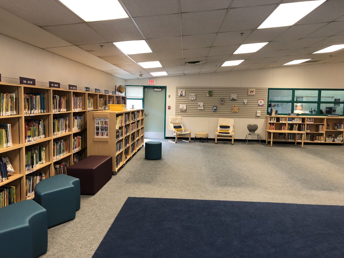 Shannon Mills tweet media