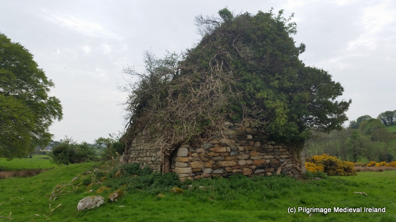 lorraineelizab6's tweet photo. 22 June: St Crunnmáel mac Rónáin of Berrech/#Barragh, #Cranavane, Co #Carlow (Dr Elva Johnston). Church & 2 holy wells on site. Tradition is it was founded by St Finian (born at nearby Myshall). A stone at site said to bear his footprint! ©@pilgrim_med_Ire https://t.co/DyWF5uzX2s https://t.co/7YwC1JRBZ1
