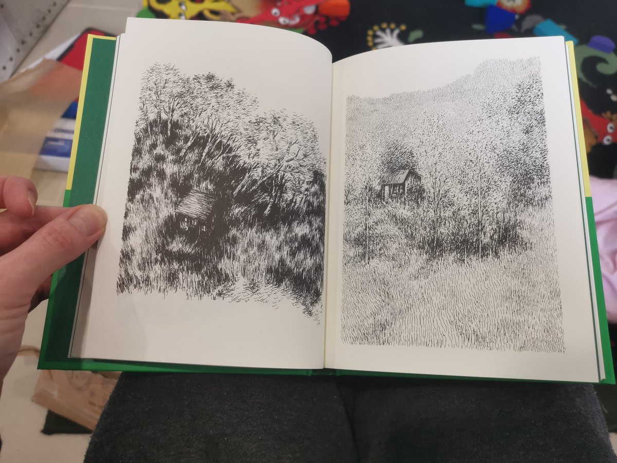 A remarkably cool book from @MismaEditions and @nylso3 arrived today.