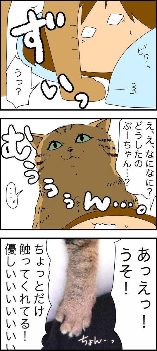 猫の妥協点はご褒美です🐱 