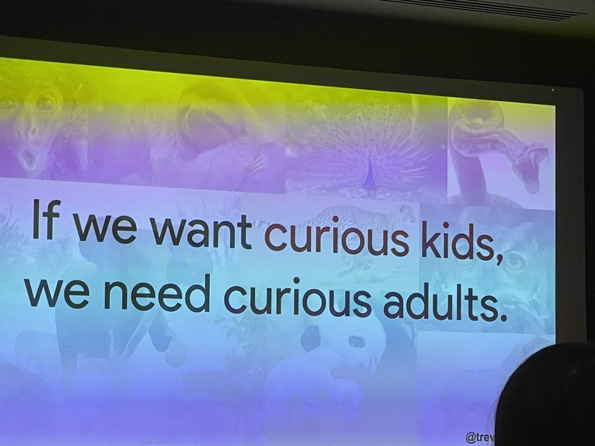 cmusselman777's tweet photo. Learning about “CURIOSITY” and the impact it makes on our students and their learning each day. Feedback forward will lead our curious kids do better in school. #azk12 #AZNBCTleaders @trev_mackenzie https://t.co/qn7PN6Xx3g