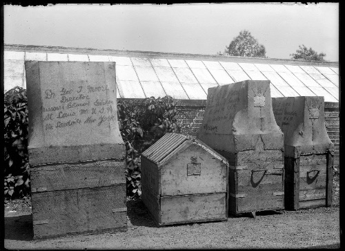 AustGHS's tweet image. Australian Garden History Society - mailchi.mp/gardenhistorys…