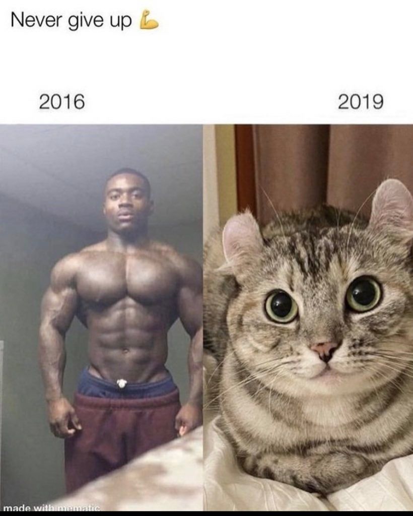 WholesomeMeme's tweet photo. https://t.co/rqccVTjo0Z