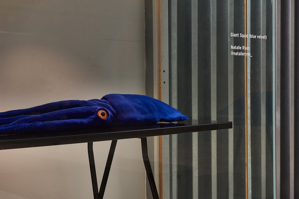 creativespaces's tweet photo. The latest exhibition in the Creative Spaces-managed Assembly Point vitrines in Southbank is now on display – you've got until July 2 to visit.

The artists featured include Pip Ryan, Carolyn Menzies, Charlotte Watson, Natalie Ryan and Josh Simpson. https://t.co/0U3CBiHvXd