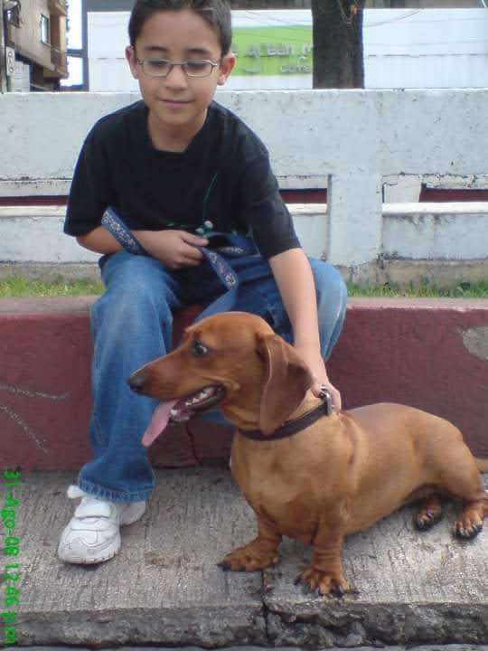 El_RickyRiver's tweet photo. Estuviste ahí cuando comenzaba a correr y pude estar ahí cuando dejabas de caminar. Gracias por 18 años de compañía https://t.co/iL5PLIfWyf