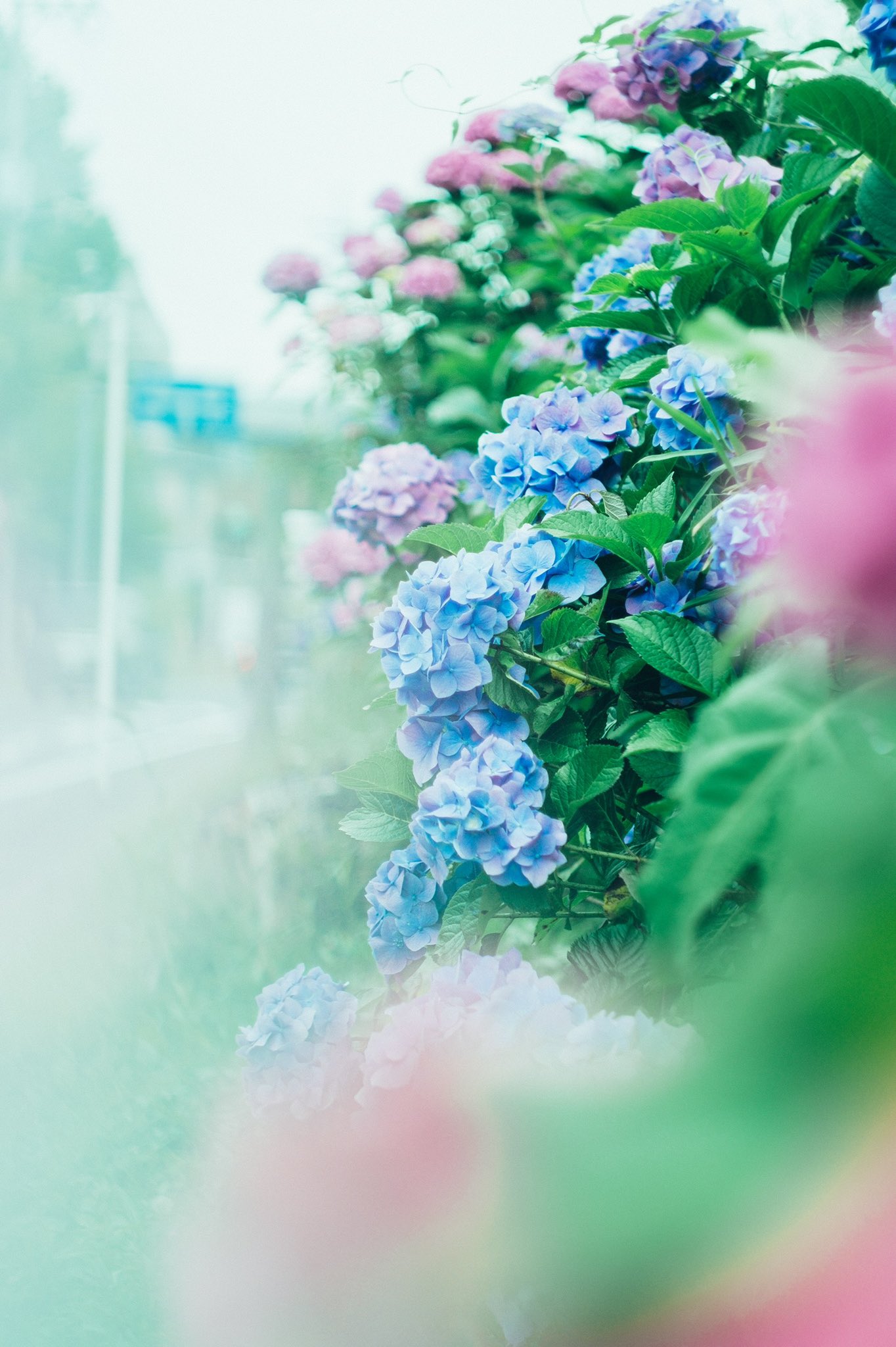 Inta Nft Intaphotonft Twitter