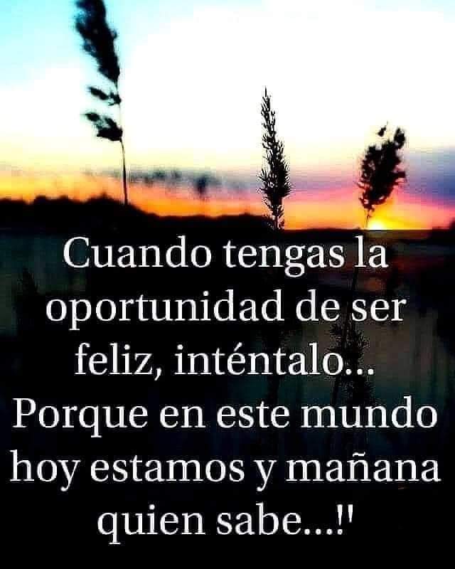 SolesitoMtz's tweet photo. https://t.co/78JmBdWjI8