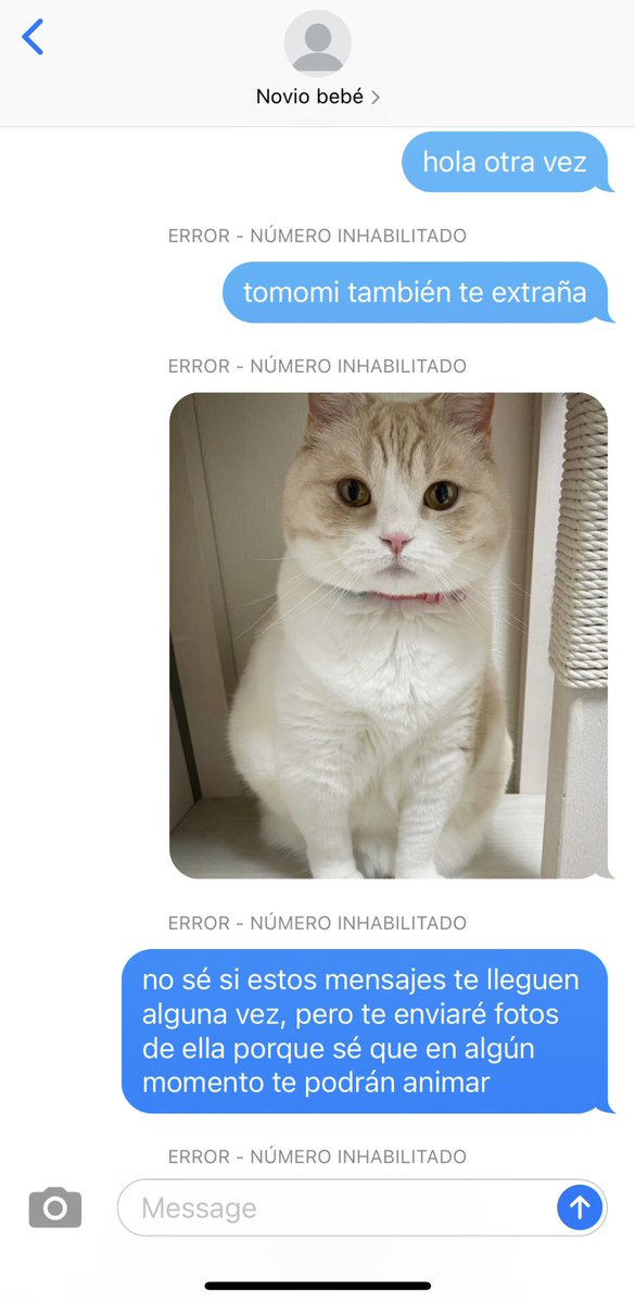 redkoya's tweet photo. 285 🐈 https://t.co/QpCpONGUud