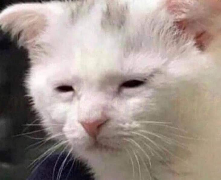 Cuando ya lo diste todo y apenas es martes: