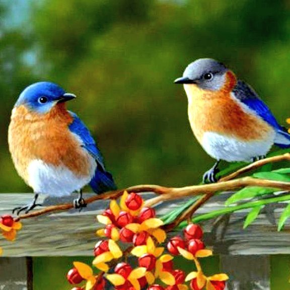 Batundur's tweet photo. Өглөөний мэнд https://t.co/AYEEsMhPFT