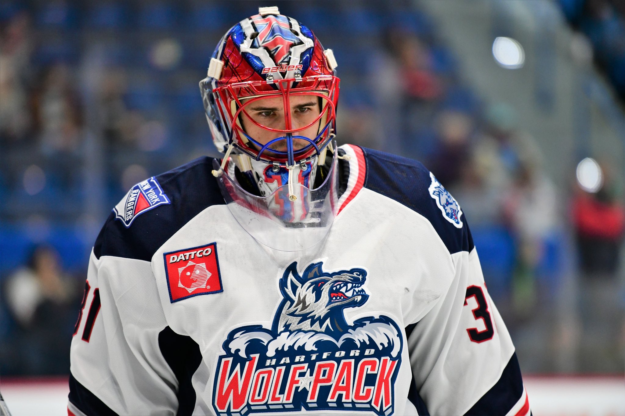 Hartford wolfpack best sale jersey