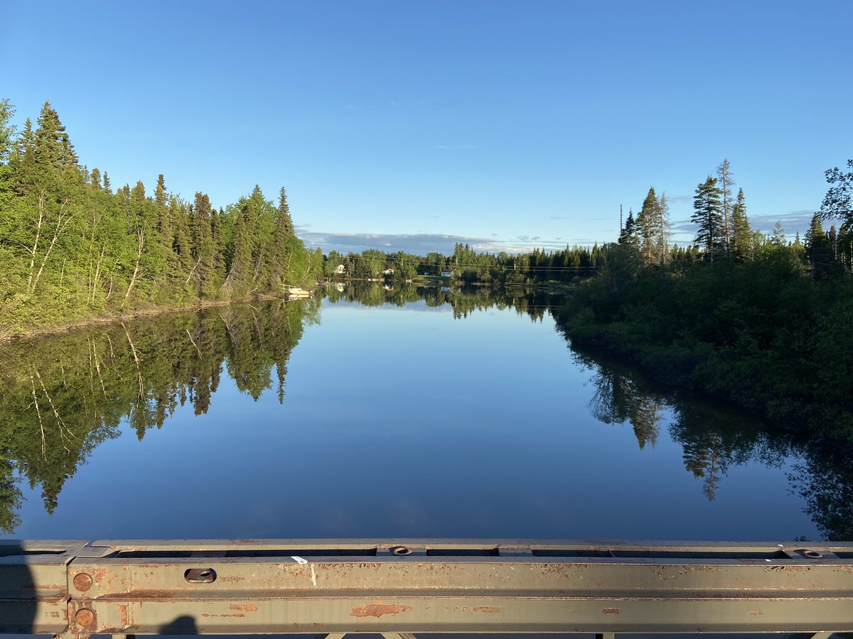 Mud Lake School tweet media