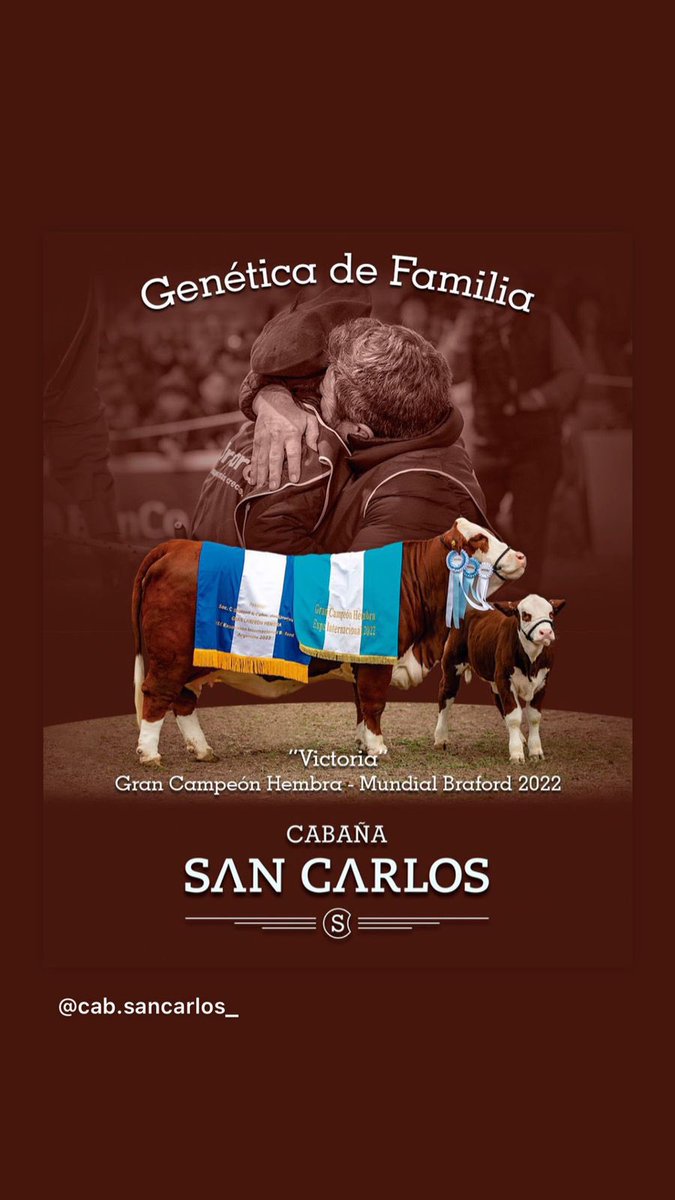 Eugenia Meichtry (@eugeniaplp) on Twitter photo 