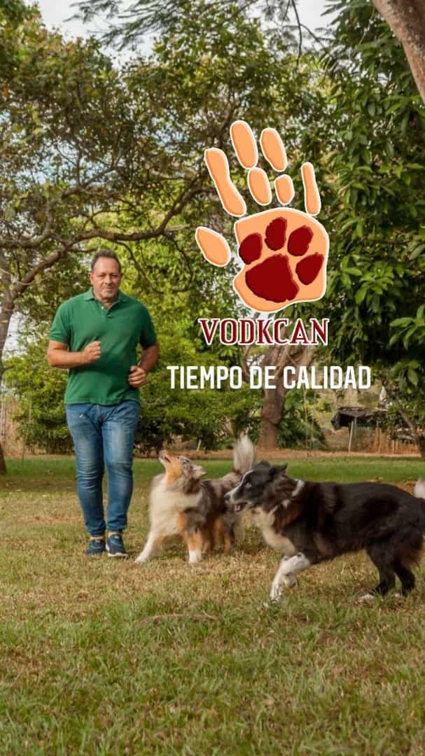 vodkcan's tweet photo. Tiempo de Calidad 🐶🐶😉👍 para #PerrosFelices y #HumanosFelices
#AdiestramientoCanino  #EducaciónCanina #ObedienciaCanina #Vodkcan #PerroEducado  #MascotaEducada #AdiestramientoDomicilio #EntrenamientoADomicilio #EscuelaParaPerros #ValenciaVenezuela🇻🇪 https://t.co/O6SibpWJwf