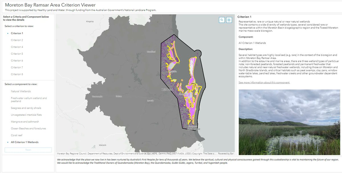 Explore our interactive map demonstrating the values of the Moreton Bay Ramsar Wetland. 🗺️ This project is supported by Healthy Land & Water, through funding from the Australian Government’s National Landcare Program. #NLP #Landcare buff.ly/3bmDvnv