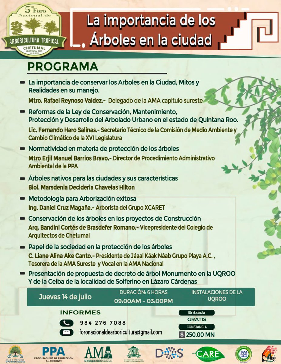 AmaSureste tweet media