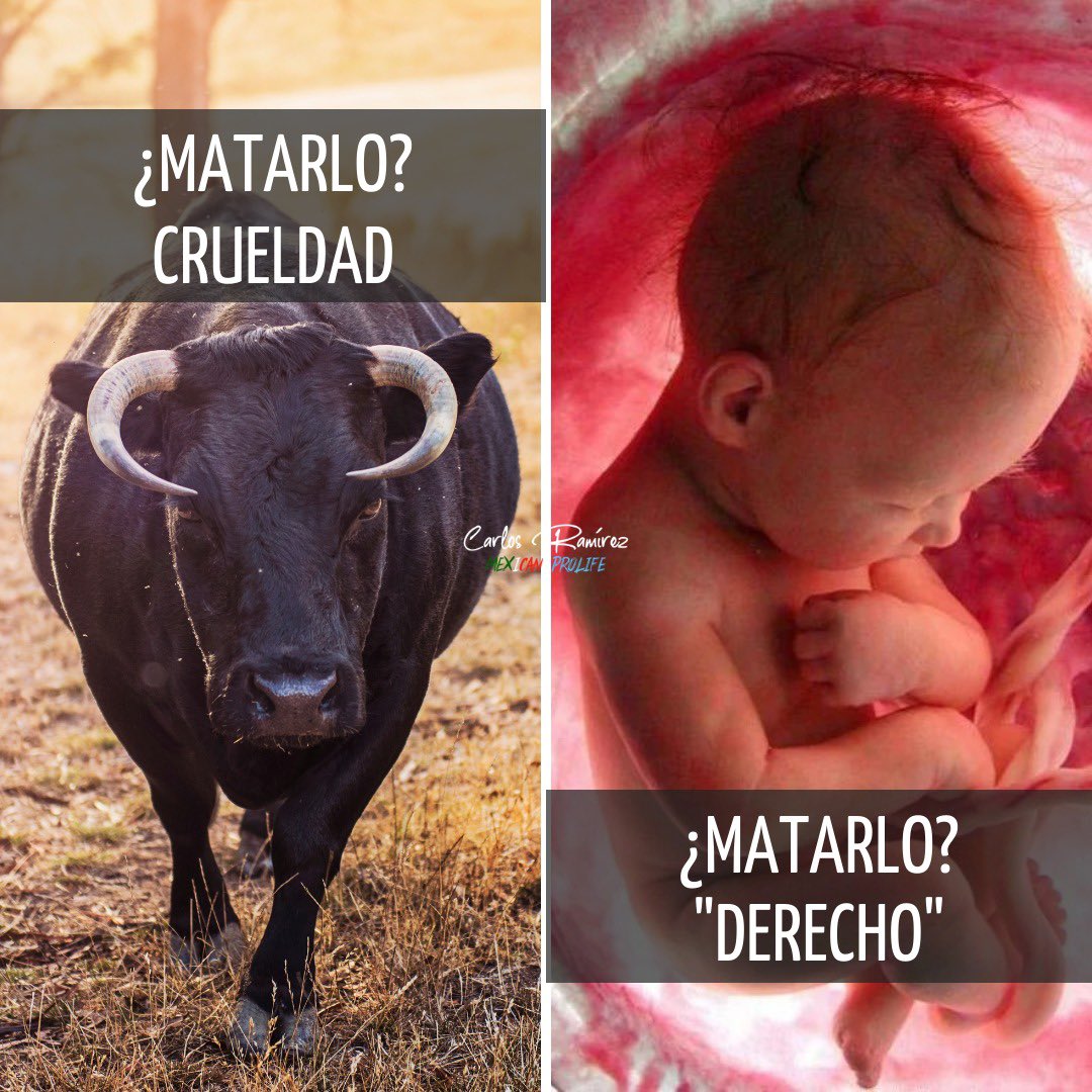 Vivimos en un mundo progre, en el que algunos creen qué hay que cuidar a los animales…y exterminar a los seres humanos. HIPÓCRITAS es una forma de describirlos ¿tú cómo los llamarías?