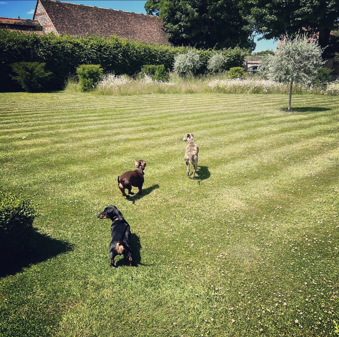 WindyCityAmanda's tweet photo. Lambourn Winner’s Circle pic! Epic day yesterday @osbornejamie and Katie’s stunningly beautiful home, stable and training yard in the English countryside! 😍 Pure heaven for human, horse &amp; hound alike! 🏇🏻🐶🥂#Group1Company #UpperLambourn #BadBobby https://t.co/L3tYnfF567