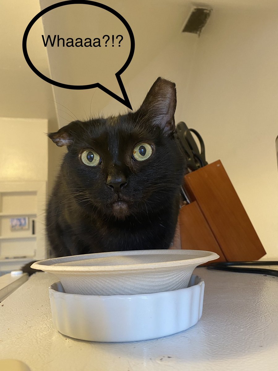 iulia brezeanu tweet media