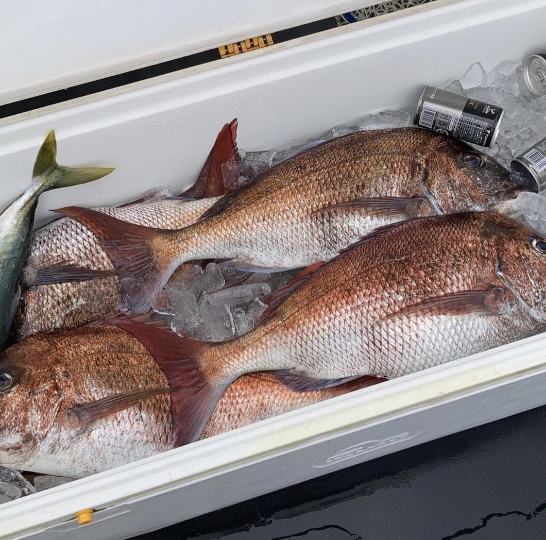 幸福丸 (@8DNu7lP6249kBJM) / Posts / X