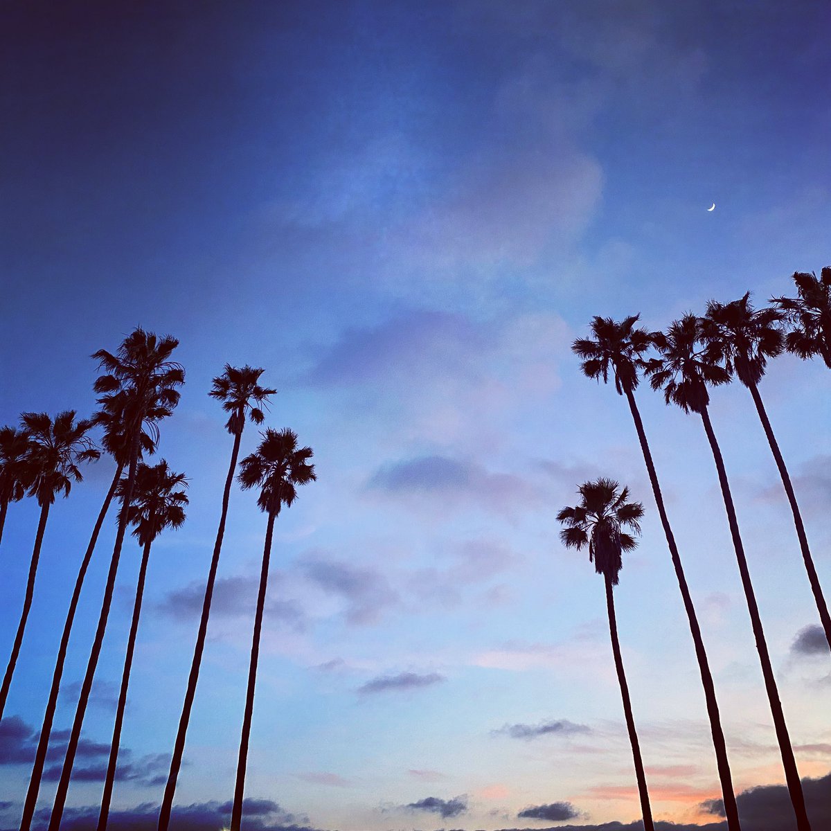 Boarding Pass tweet media