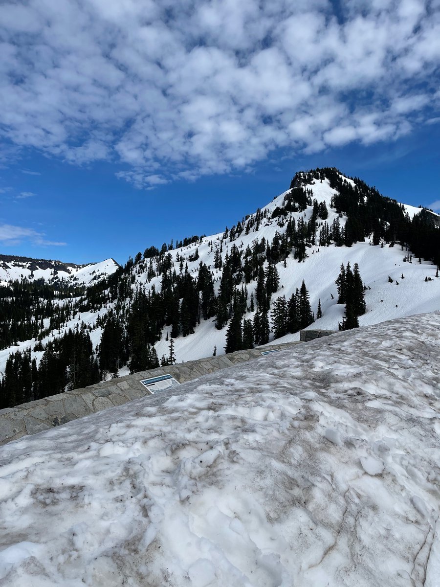 Went to summit crystal mountain in Washington today. Way too fun hiking in summer time snow #PacificaNorthwest