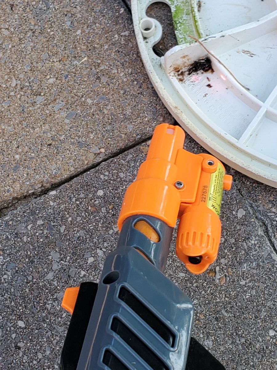 woopig418's tweet image. Putting some chlorine tabs in the pool, noticed thick webs. Looked &amp;amp; saw a big black beauty. Grab the Black Fly edition with the Lazer for the win. @bugasalt vs Black Widow 🕷️Nighty night 💤💤💤💤
#bugasalt #bugassault #BlackWidow