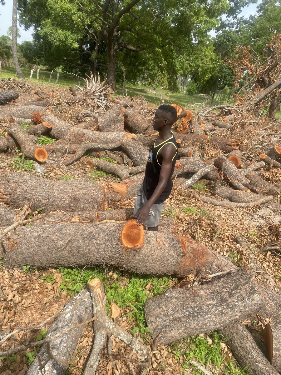 GigoModou's tweet image. Please donate to get needs of the kids 
Wu.com 
Xoom.com 

First name : Momodou 
Last Name : Gigo 
Cash pick up 
Country: The Gambia 🇬🇲 
Tel : +220 3163759