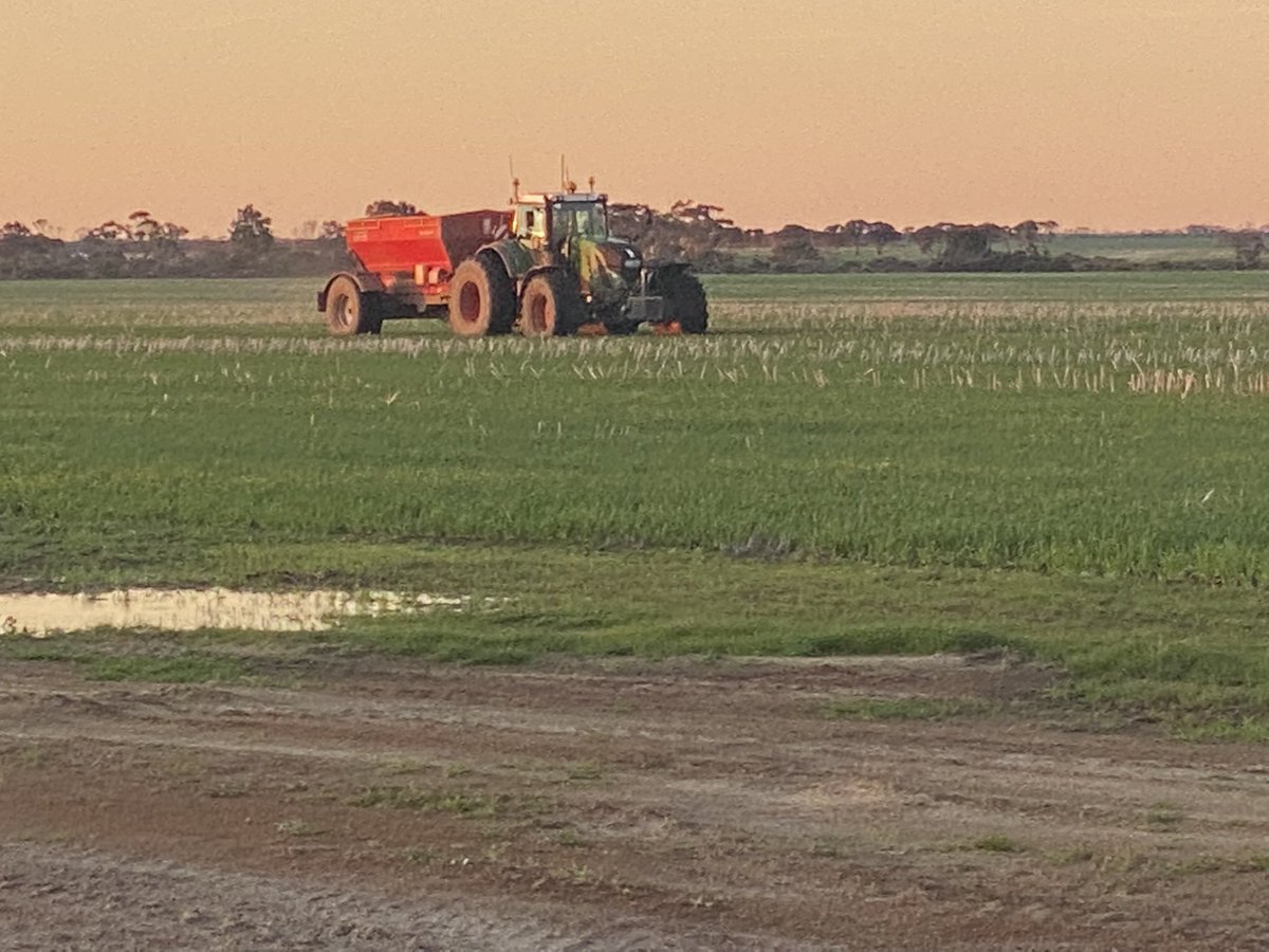 Michael Hart tweet media