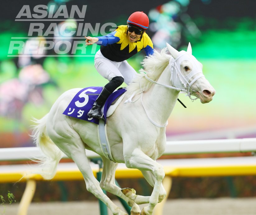 AsianRacingRep's tweet photo. SODASHI / #ソダシ PLUSHIE GIVEAWAY 

Win a super-rare official JRA Sodashi plushie 🦄

To enter: RT this tweet &amp; FOLLOW @asianracingrep

Prize is one brand new large-sized Sodashi Oka Sho plushie, as pictured.

Entries close 6pm Tues 28 June. Winner announced Wed 29 June https://t.co/odXUzuRZcO