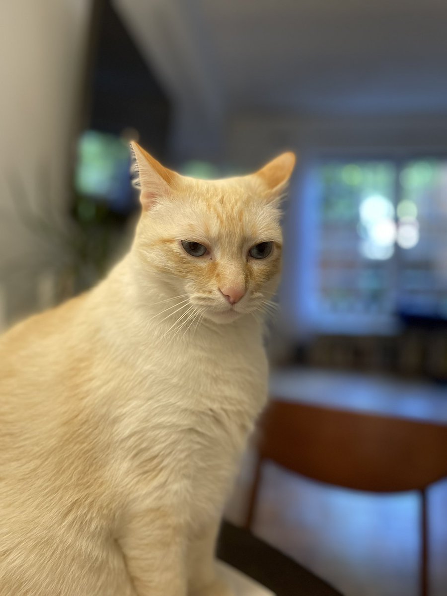 I’m fr thag dude . I’m him