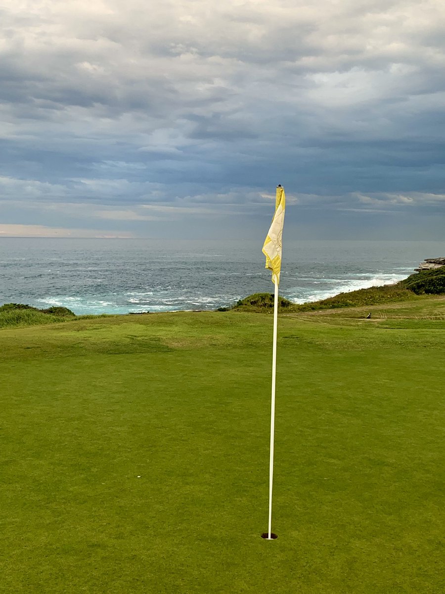 Elevation_Golfing_Nation tweet media