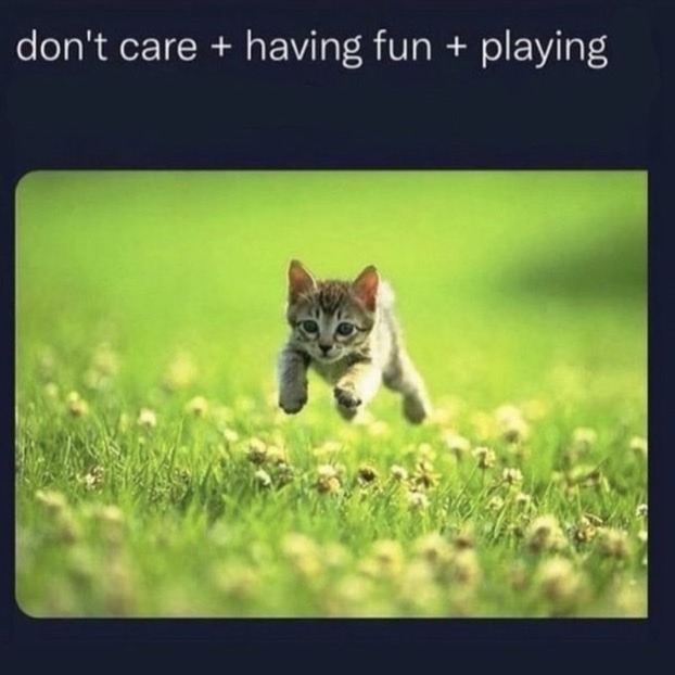 ecoterroristcat's tweet photo. https://t.co/n6cNYNe6RG