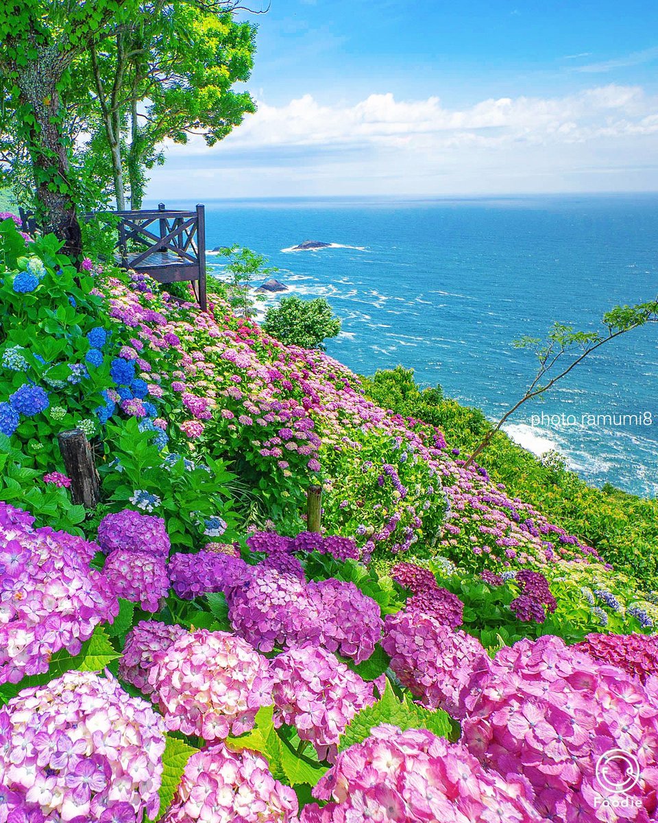 今年も綺麗だった。