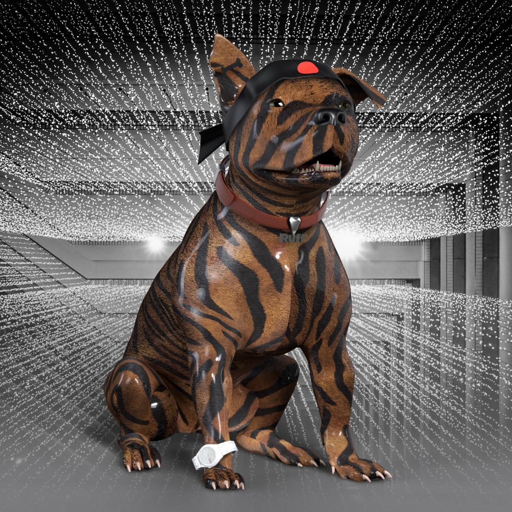 Bas | Gambulls.com tweet media