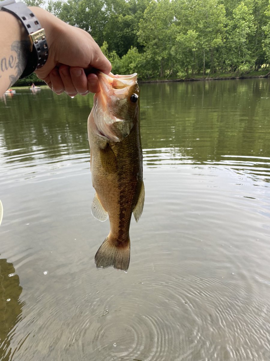 FletchersFishin's tweet photo. #WVFishing #WVBass https://t.co/TQqCVJEULy