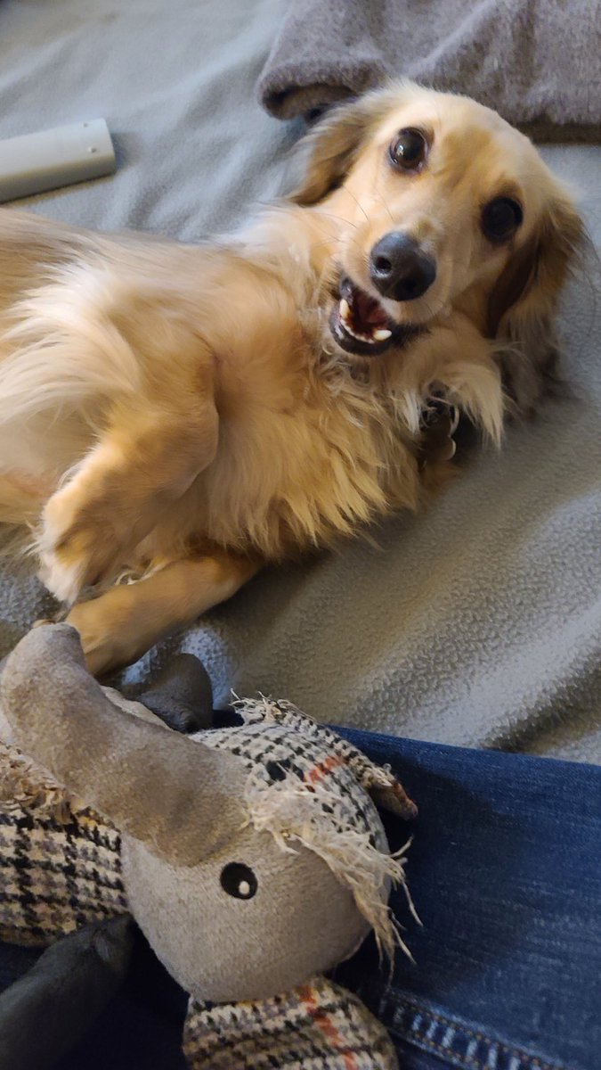 Chanel Christine 🌺 tweet media