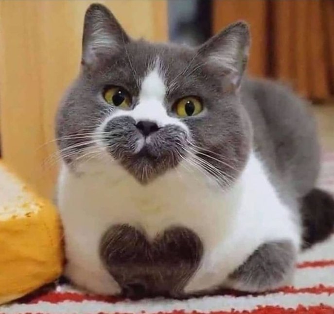 Günaydın. Mutluluk komasına gireceğiniz bir gününüz olsun. Rastgele her işiniz. ✋✋