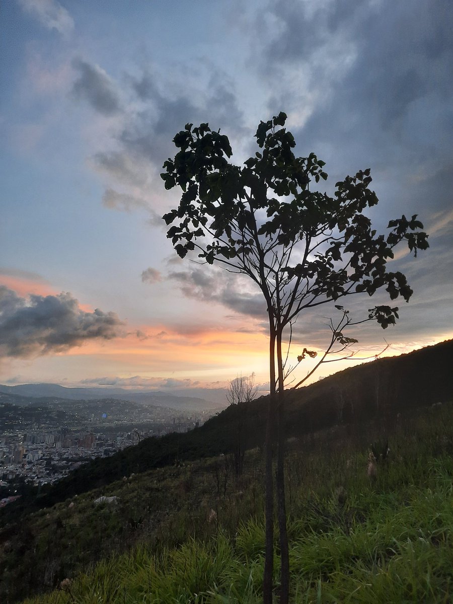 JCGS_1964's tweet photo. Atardecer en el Ávila, sector Galindo https://t.co/K4CrRqFLBF